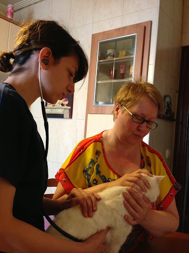 Este finde tenemos visita: Flor Dessal veterinaria del Centro Clínico Felinos Gattos de Madrid IMG_3630