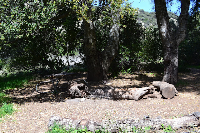 the first campsite at Forbush Flat