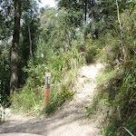 Intersection with the Southern end of Ruined Castle Track (313406)