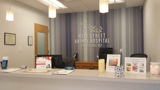 Veterinarian «Main Street Animal Hospital», reviews and photos