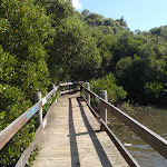 salt pan creek boardwalk (77293)