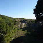 South of the Lighthouse on Cape Baily Track (75447)