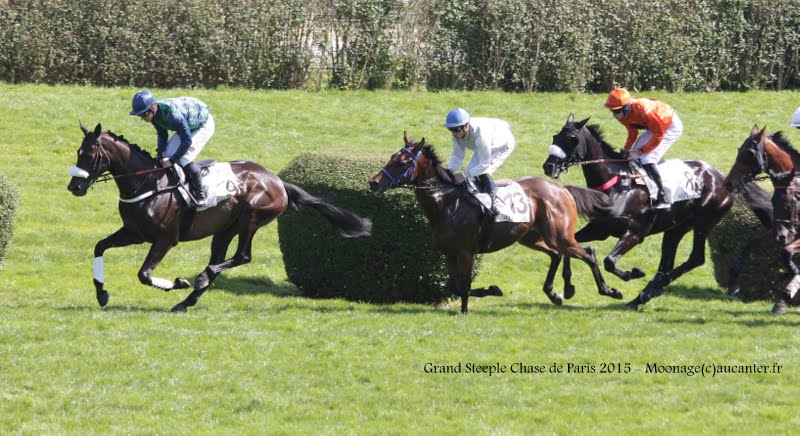 Photos Auteuil 17-05-2015 Journée du Grand Steeple IMG_0195