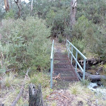 Crossing Sawpit Creek on the Pallaibo Track (303379)