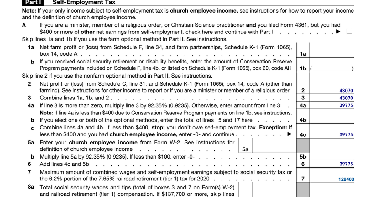 Irs form 1040 schedule se 2020 