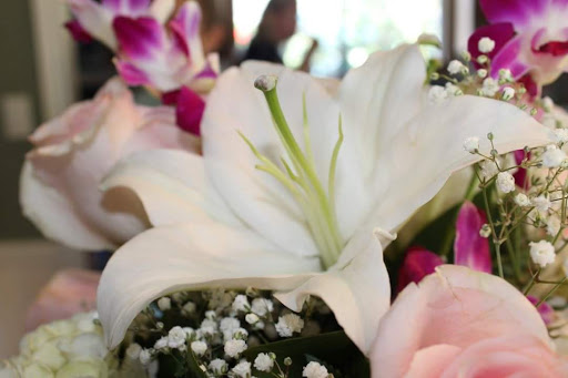 Florist «Bellissimos Flowers», reviews and photos, 4412 E 7th St, Long Beach, CA 90804, USA
