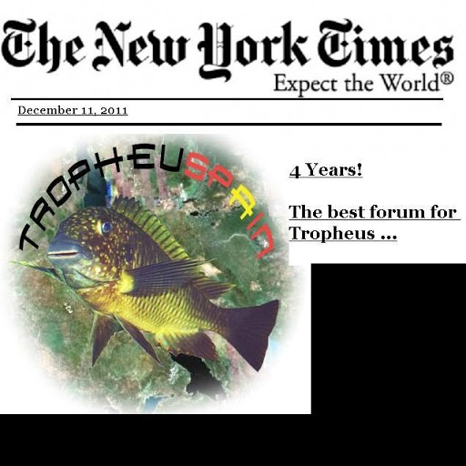 tropheuspain 4 años de vida The_new_york_times_72864
