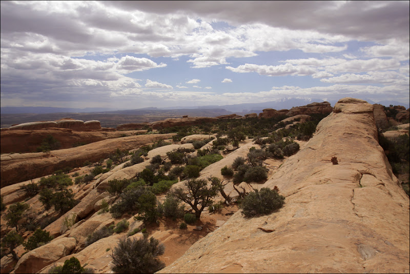 Devils Garden Trail