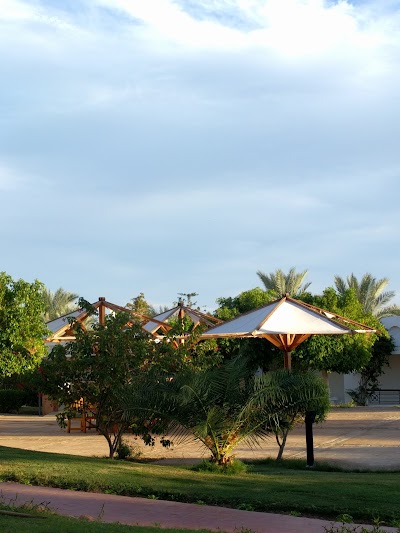 Photos of Pool Bar - Tropicana Jasmine Club