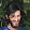 Manuel Lopes Manuel Lopes's profile photo