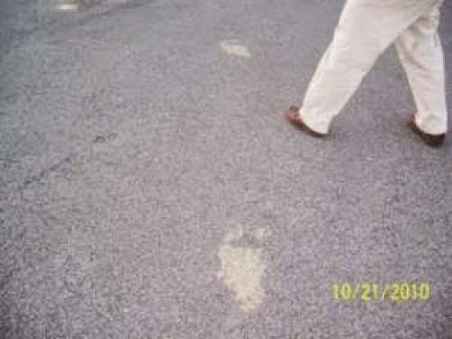 Gibsonville Nc Muddy Footprints