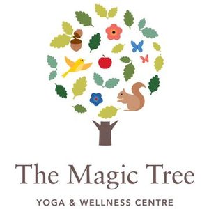 The Magic Tree - Yoga and Wellness Centre