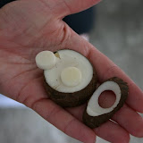 Taqua Nut Manufacturing - Montecristo, Ecuador