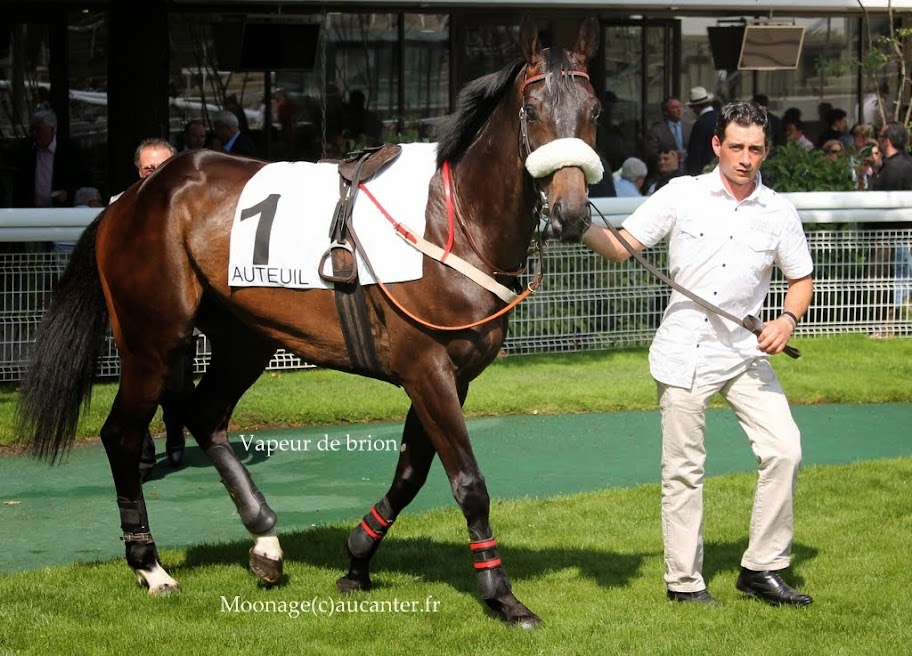 Photos Auteuil 8-06-2014  - Page 2 IMG_1944