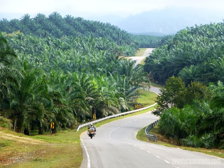 Malasia.carretera.JPG