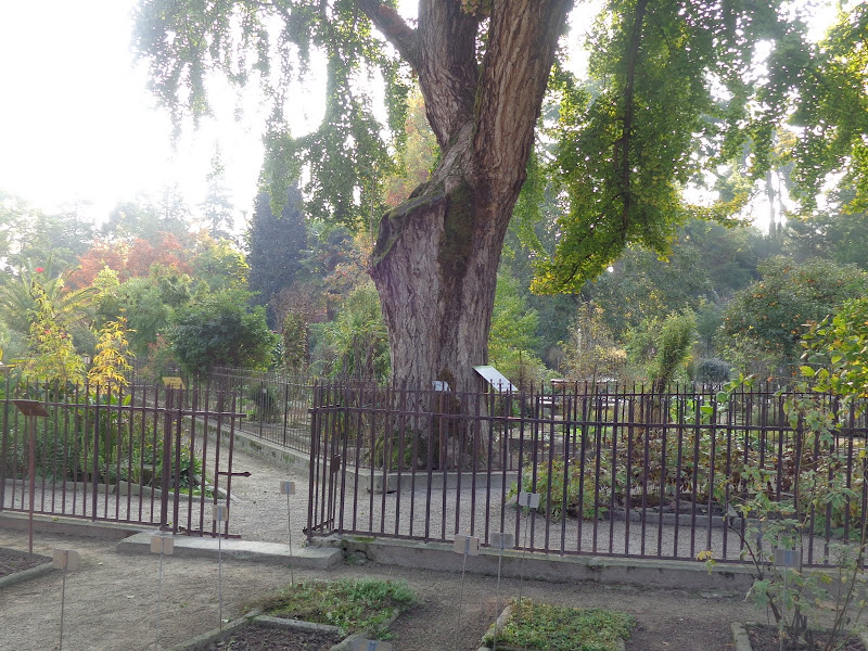 Круиз на Queen Elizabeth, 12-24 октября 2012