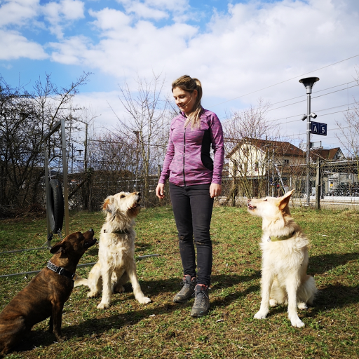 Hundeschule Alpha Energy Balance logo