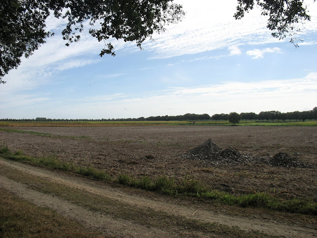 Ooit was deze grond moeras.