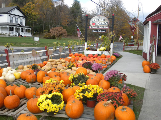 The Apple Barn & Country Bake Shop