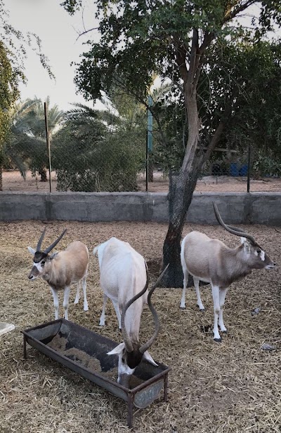 Photos of Eisa Farm