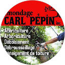 Carl Pepin