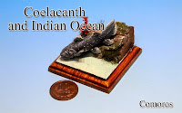 Coelacanth & Indian Ocean -Comoros-