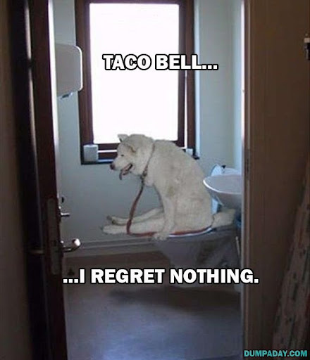 15-funny-dogs-who-have-no-regrets-2013-08-26-17-13.jpeg