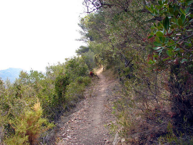 senderismo: Vall d'Uixò - Alt del Rodeno - Pipa PR-V 241