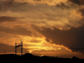 Picasa