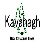 Kavanagh Christmas Trees Dundrum Dublin logo