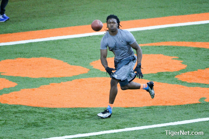 Clemson Pro Day Photos - 2014, Football, Practice, Pro Day, Sammy Watkins