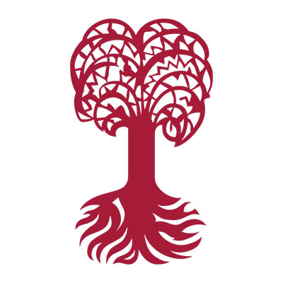 Fachbereich Informatik, Institut für Biomedizinische Informatik (IBMI) logo