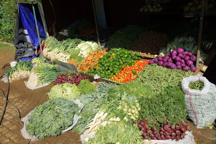 Шри-Ланка: на машине 1 100 км,  фото без комментариев, март-апрель 2013г.