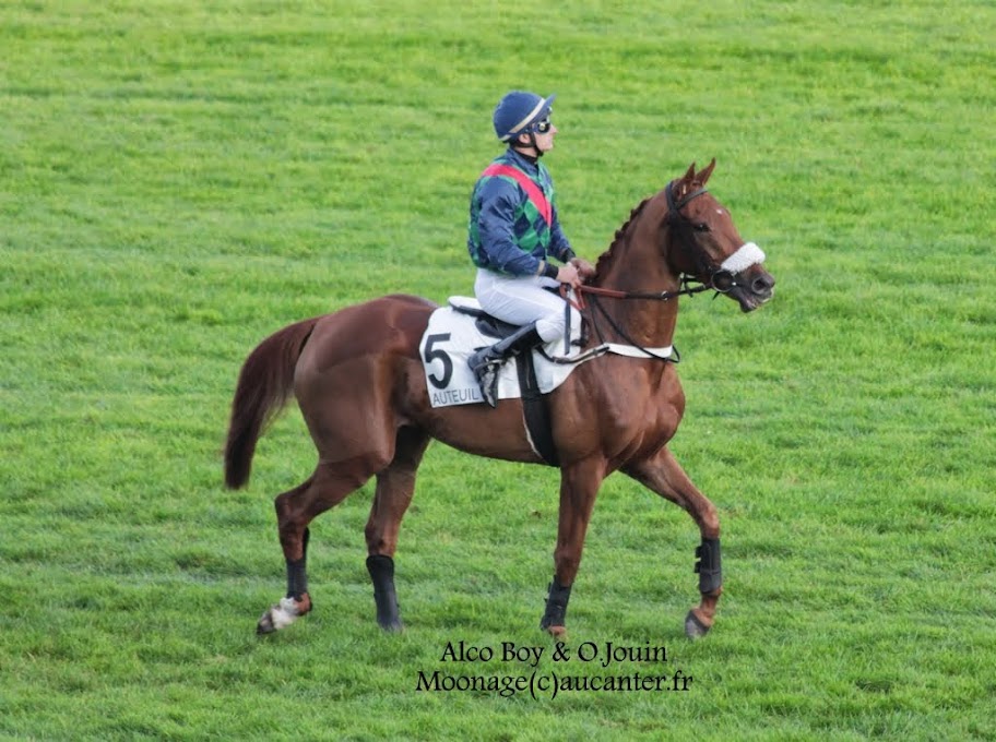 Photos Auteuil 2-11-2014 (48h de l'obstacle) - Page 2 IMG_5758