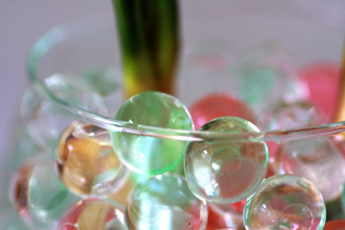 Bán chậu thủy tinh hạt nước trồng cây - 18