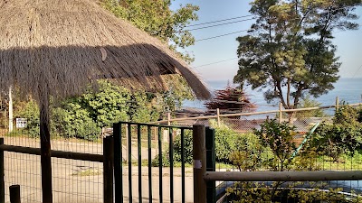 Photos of Apart Hotel - Caba&ntilde;as Alicia - Concon