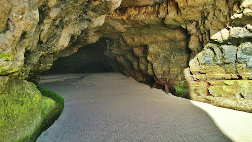 Pomponio State Beach