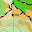 Nabesar Cartografa y Orientaci's user avatar
