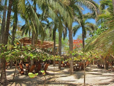 Photos of Avellanas Surf School