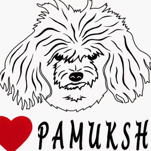 Pamuk Shop logo