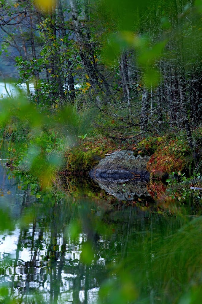 K5BP9074_75_76_77_78_79_80_tonemapped-sm.jpg