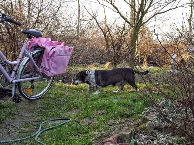 062.JPG