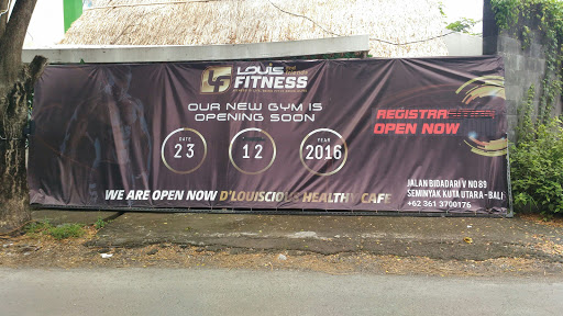 Louis And Friends Fitness