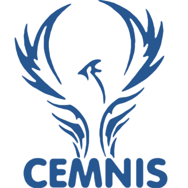 CEMNIS - CEntre de neuroModulation Non-Invasive de Strasbourg logo