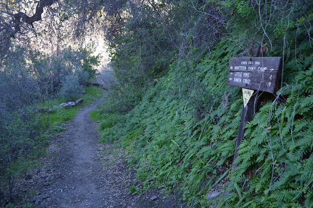 Santa Cruz Trail at the Nineteen Oaks turnoff