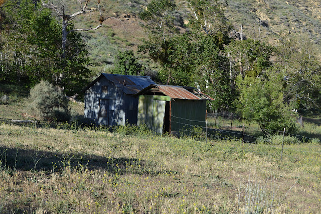 a couple buildings by a fenced field