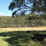 Pincic table and fire pit in the shade