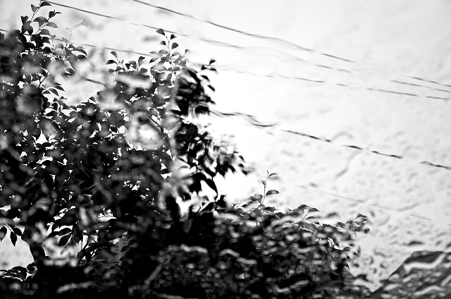Shinjuku Mad - Rain like whisper, corrodes silence 05