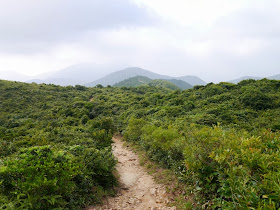 Dragon's Back trail in Hong Kong