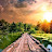 Amit Patil avatar image